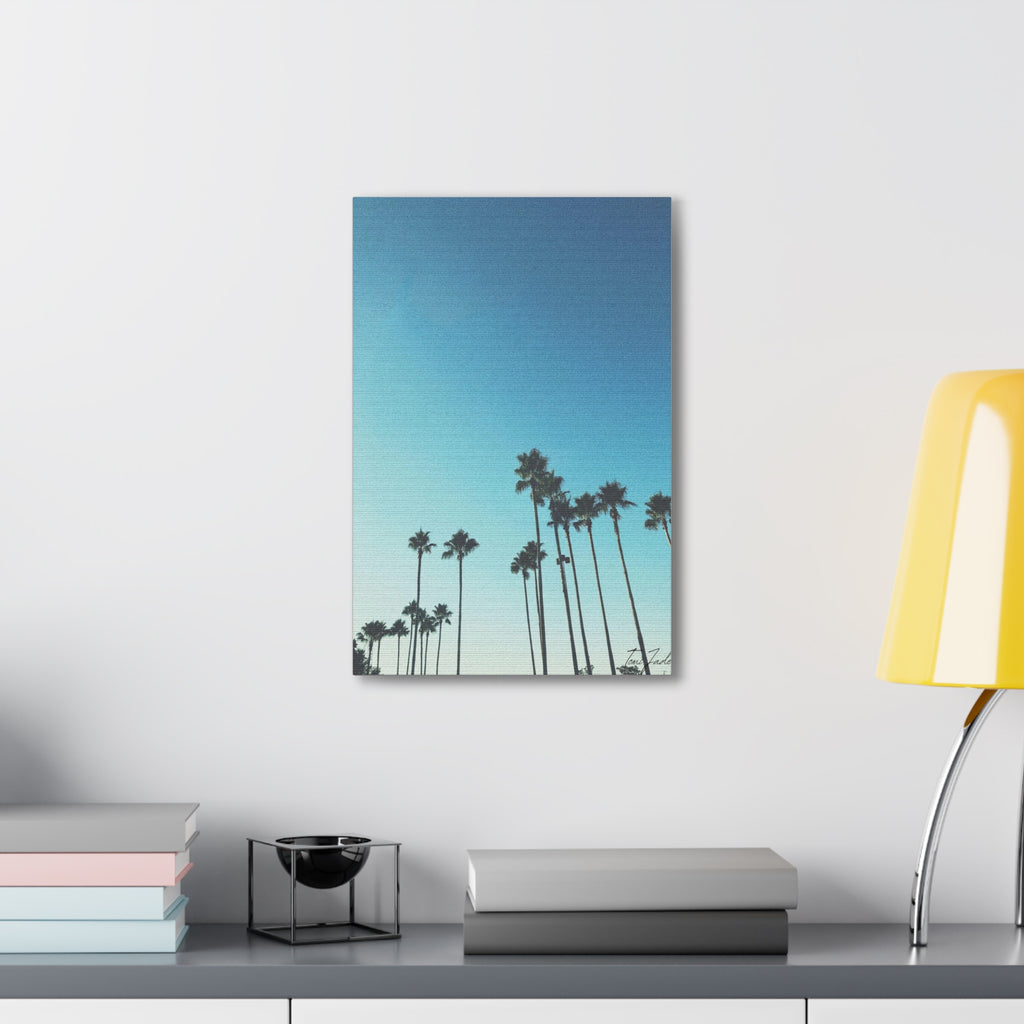 Palm Paradise - Canvas Gallery Wraps