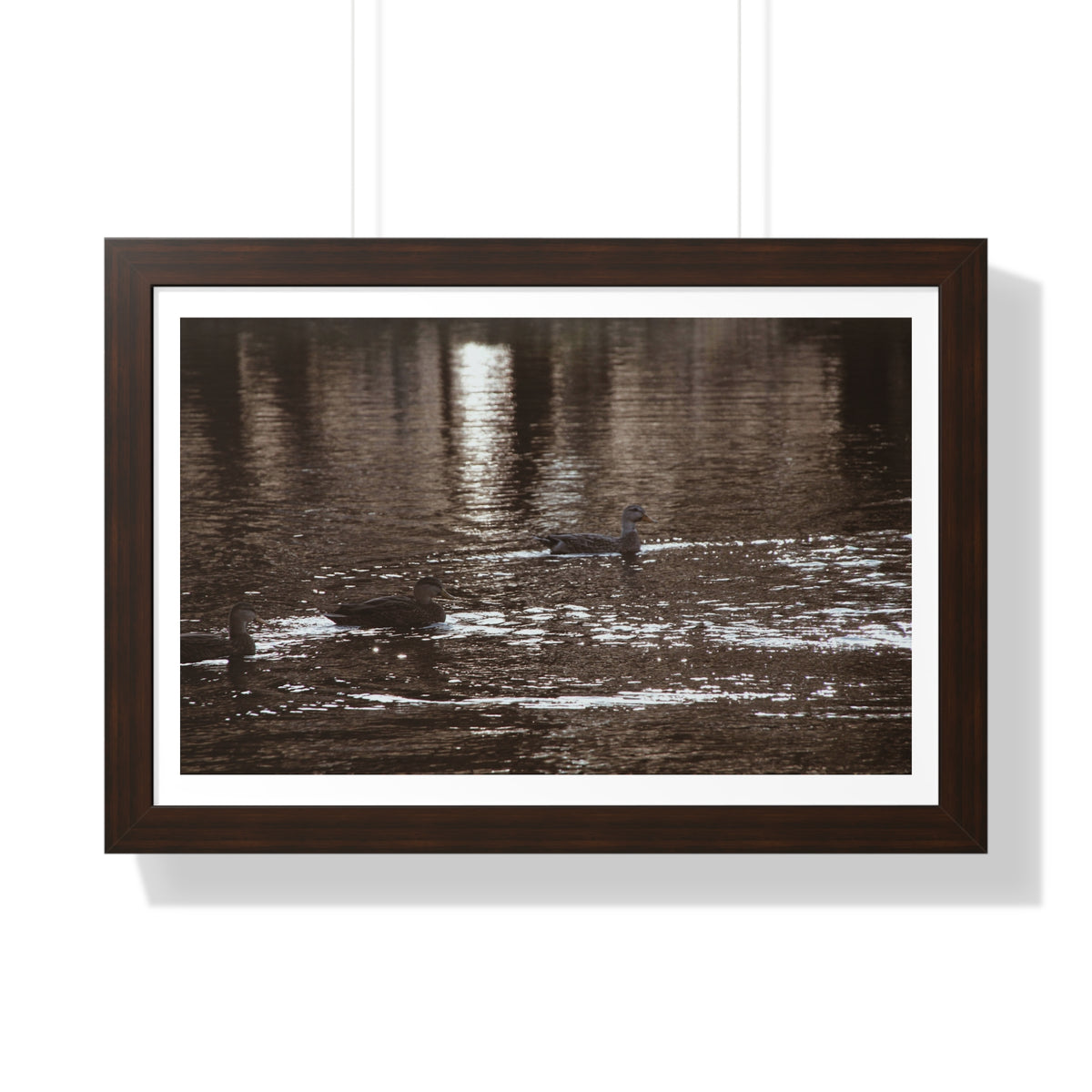 Ducks in a Pond - Framed Horizontal Poster