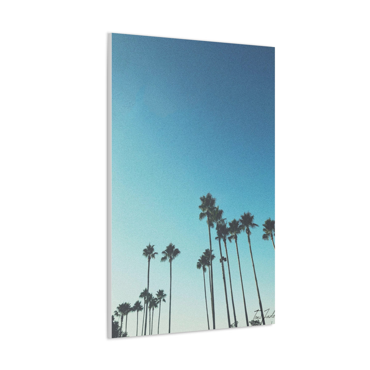 Palm Paradise - Canvas Gallery Wraps