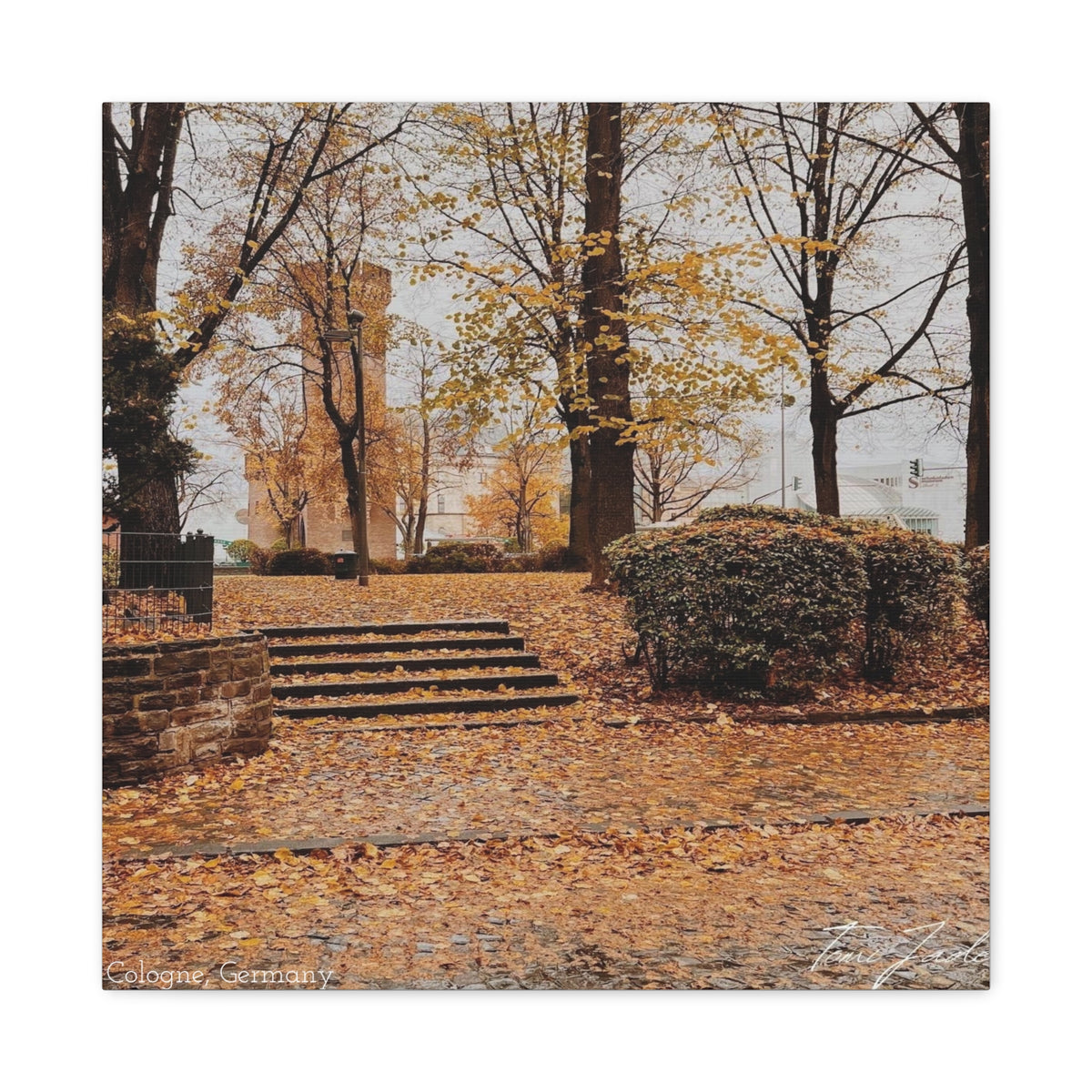 Fall in Germany-Canvas Gallery Wraps
