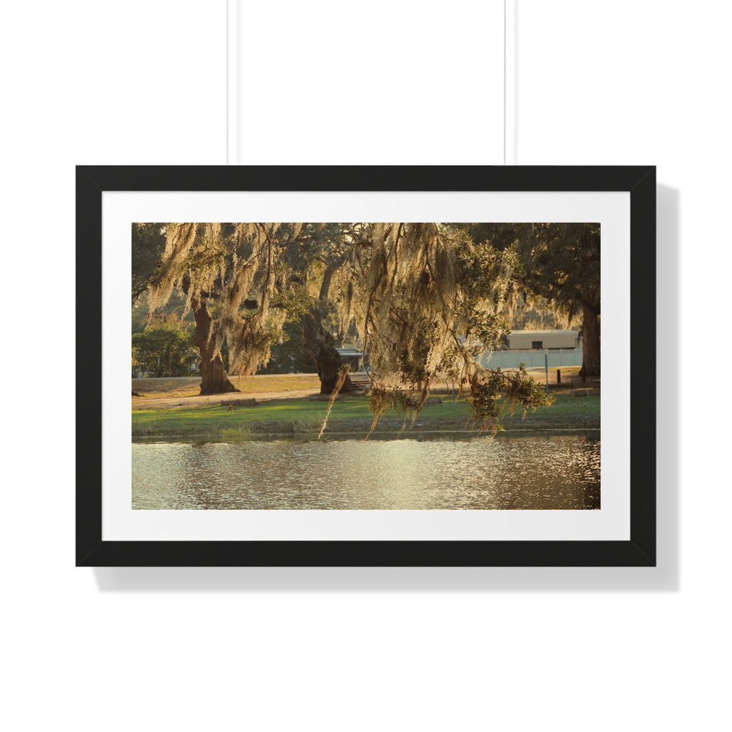A Golden Park - Framed Horizontal Poster