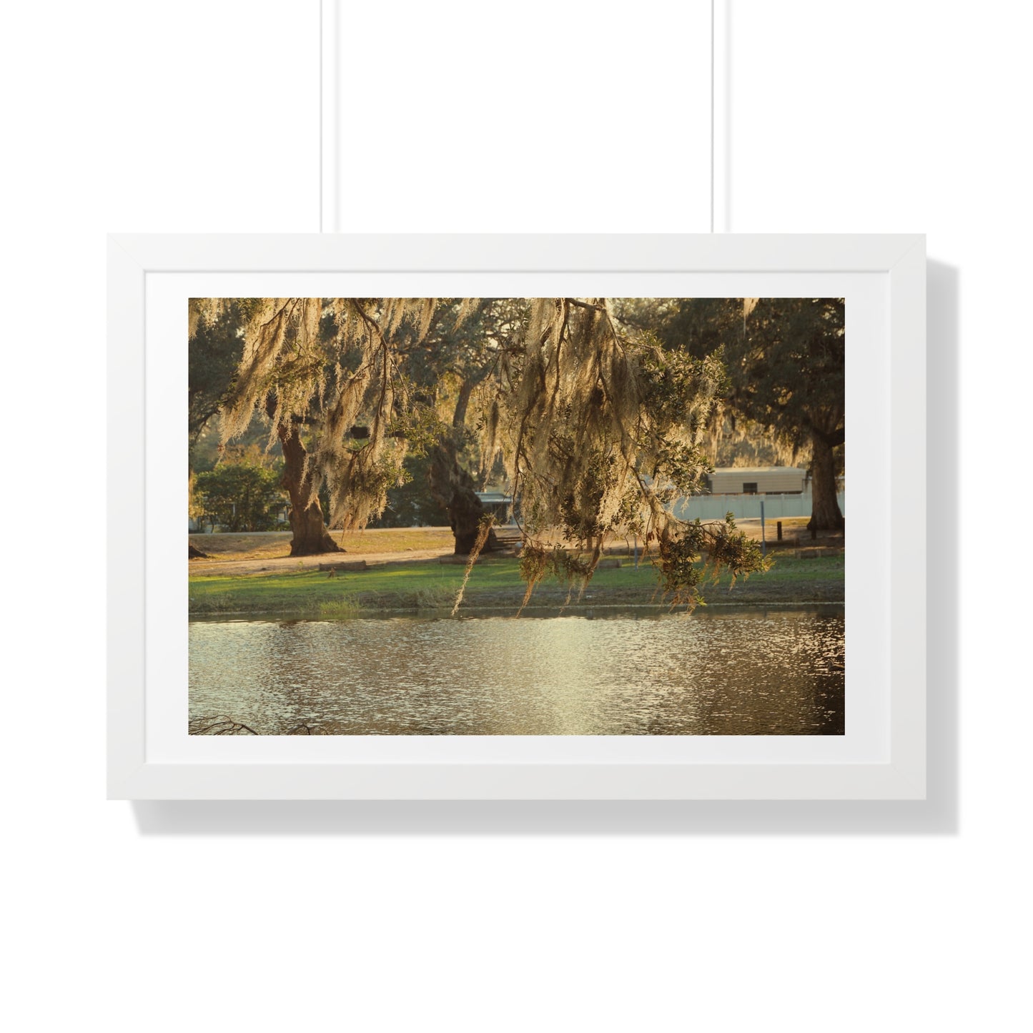 A Golden Park - Framed Horizontal Poster