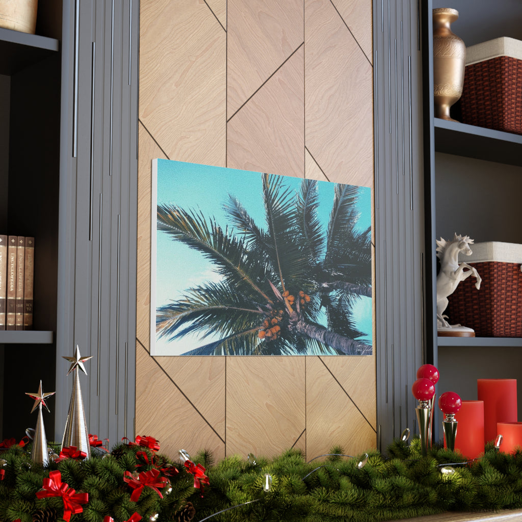 Tropic - Canvas Gallery Wraps