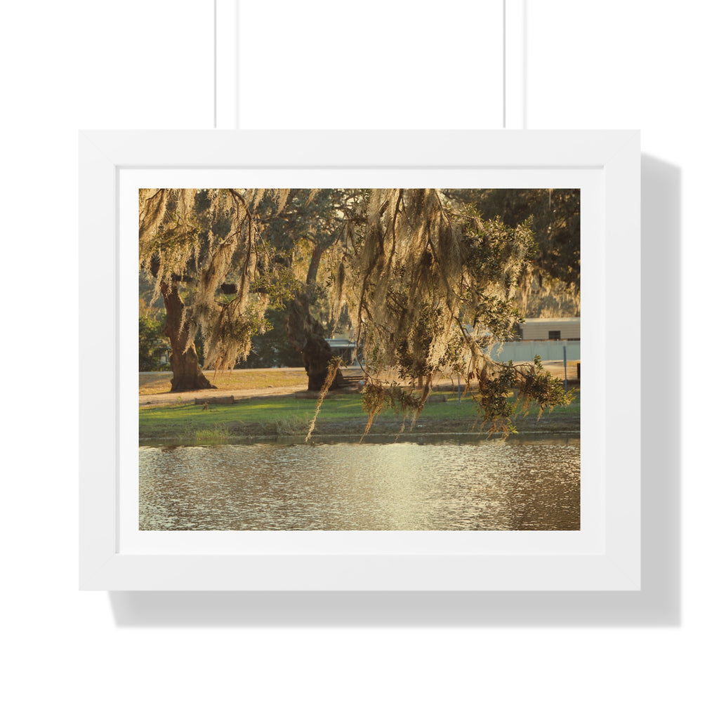 A Golden Park - Framed Horizontal Poster