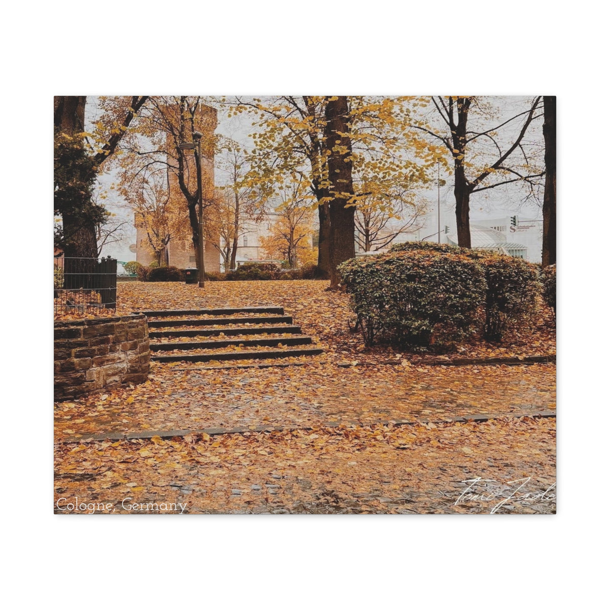Fall in Germany-Canvas Gallery Wraps