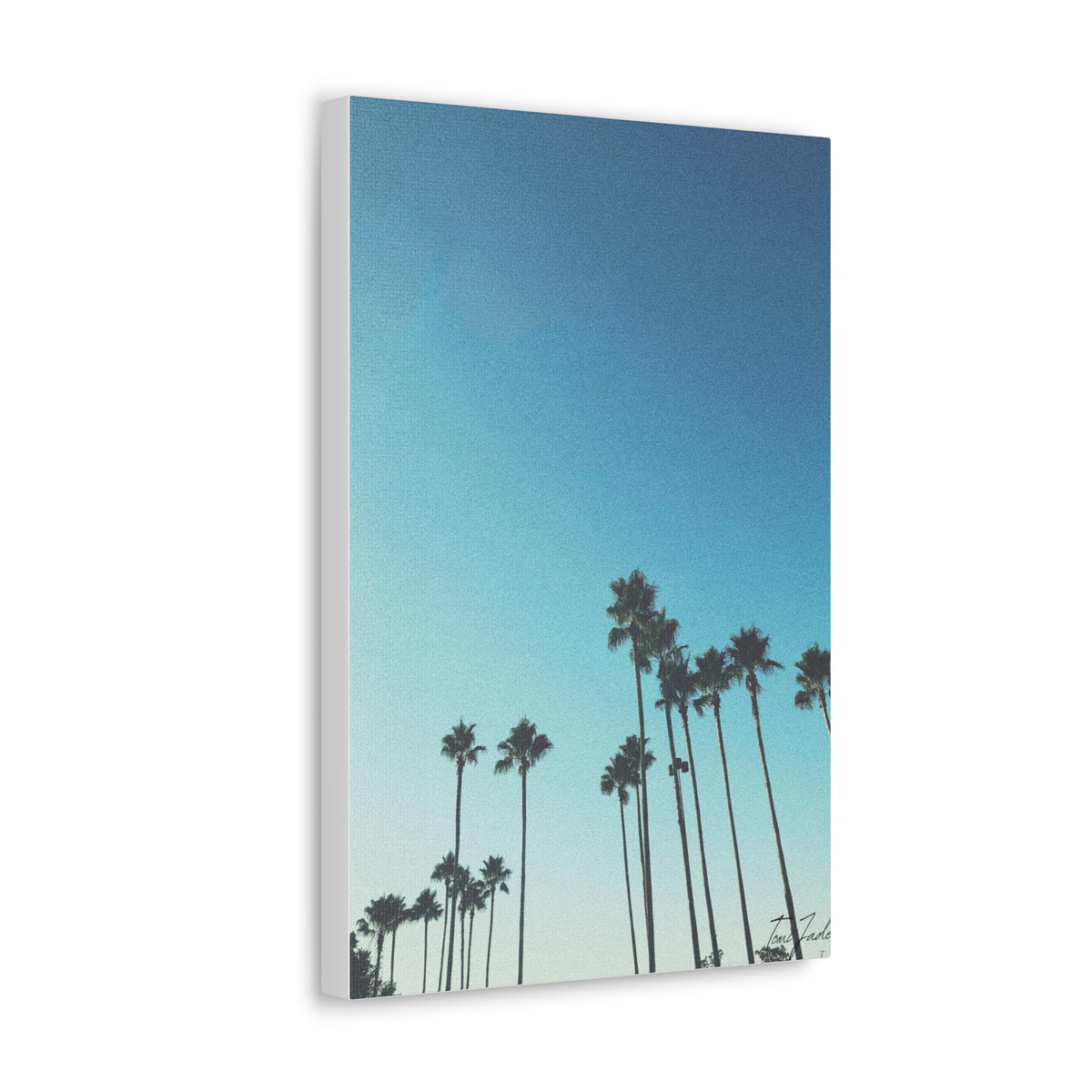 Palm Paradise - Canvas Gallery Wraps