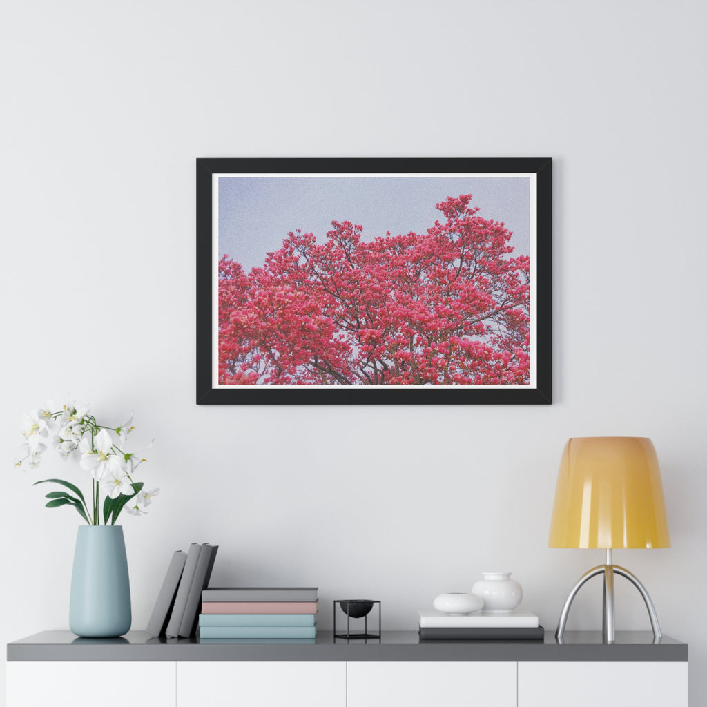 Blooming Pink - Framed Horizontal Poster