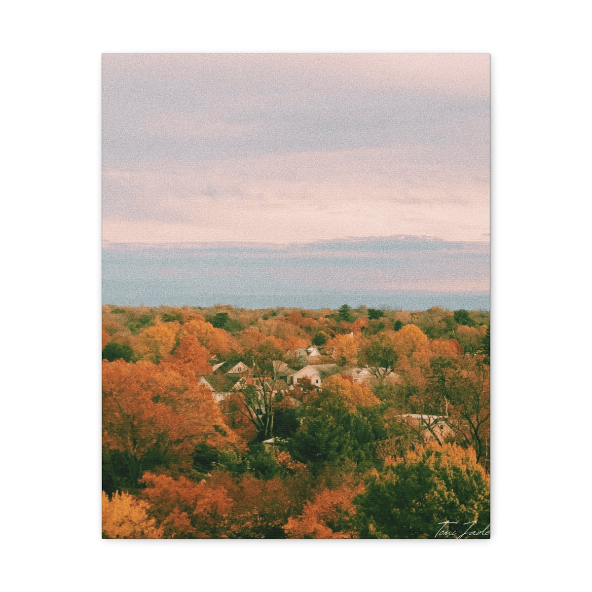 Maryland Neighborhood - Canvas Gallery Wraps