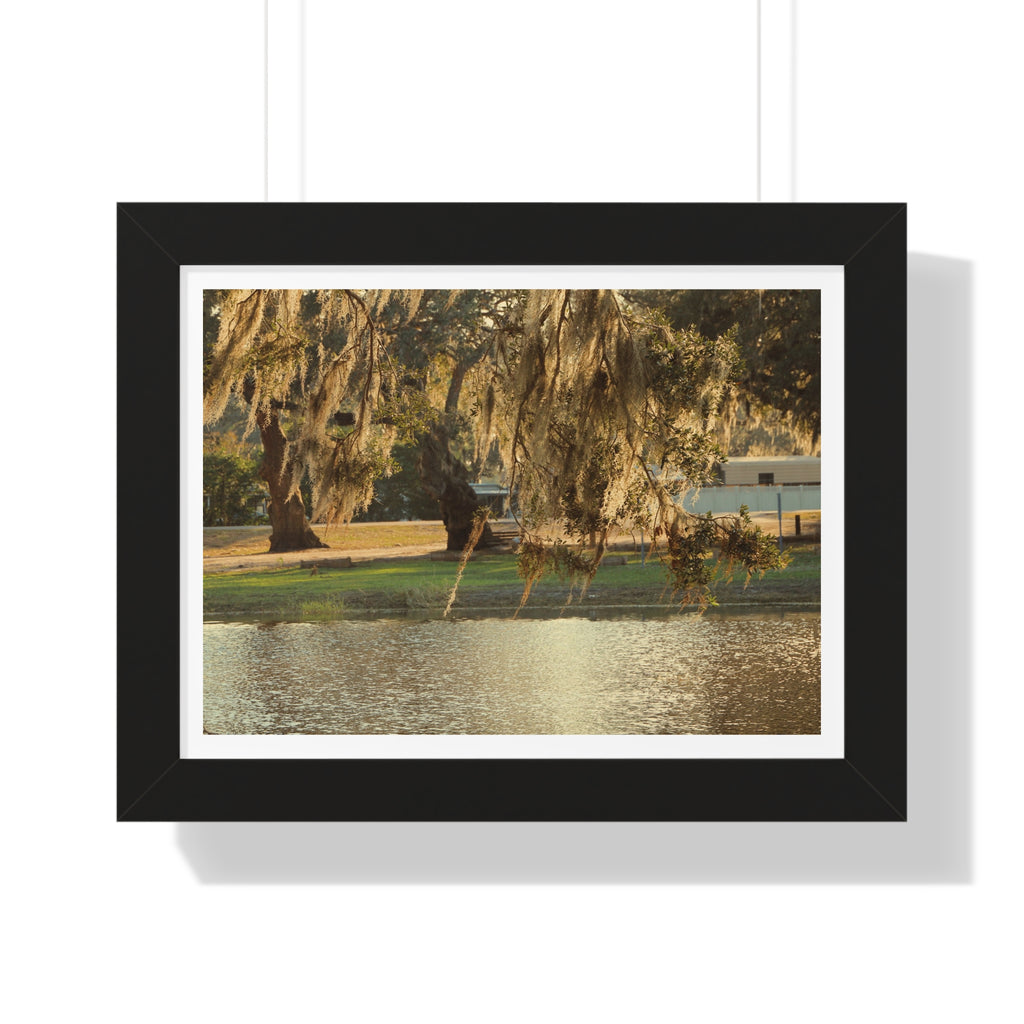 A Golden Park - Framed Horizontal Poster
