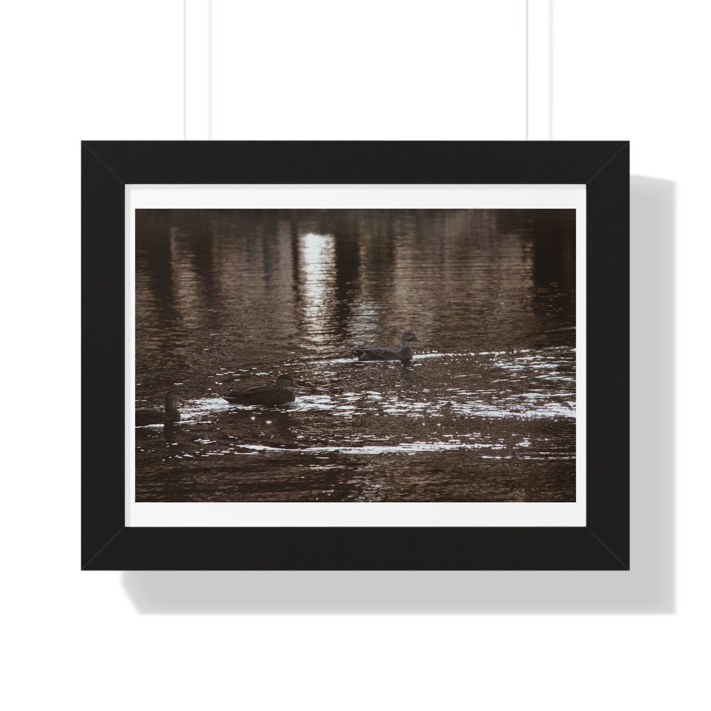 Ducks in a Pond - Framed Horizontal Poster