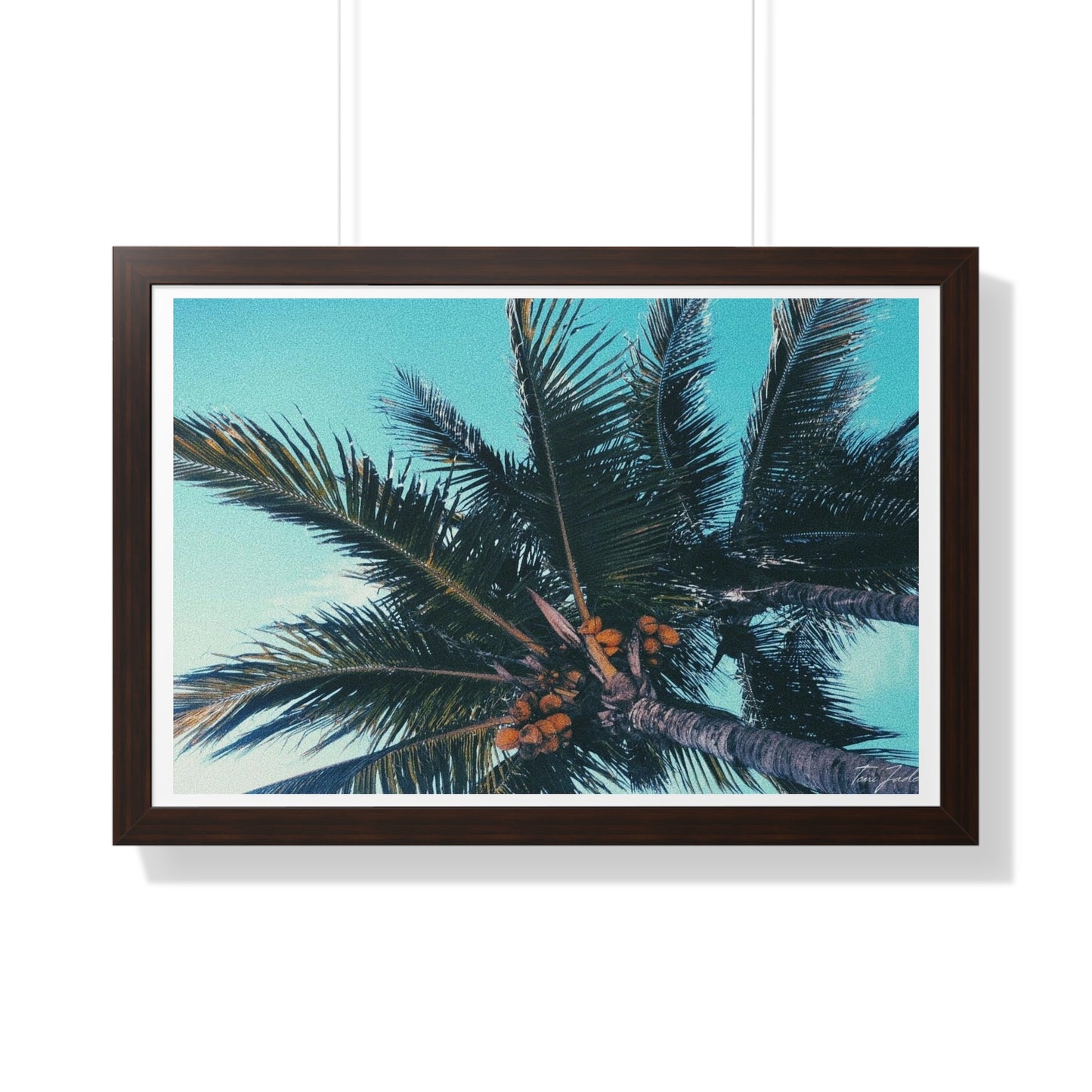 Tropic - Framed Horizontal Poster