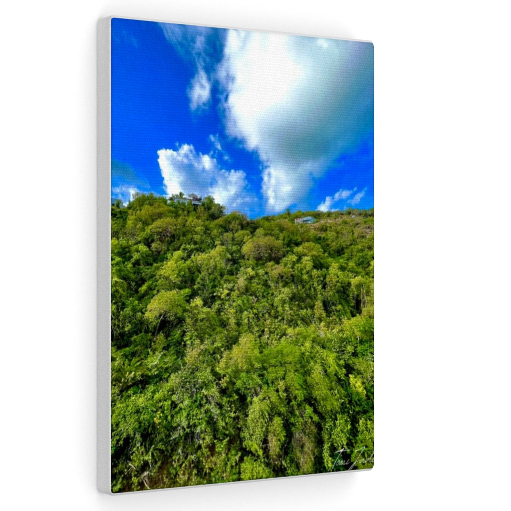 Nature At Its Layers-Canvas Gallery Wraps - TomiJadePhotos