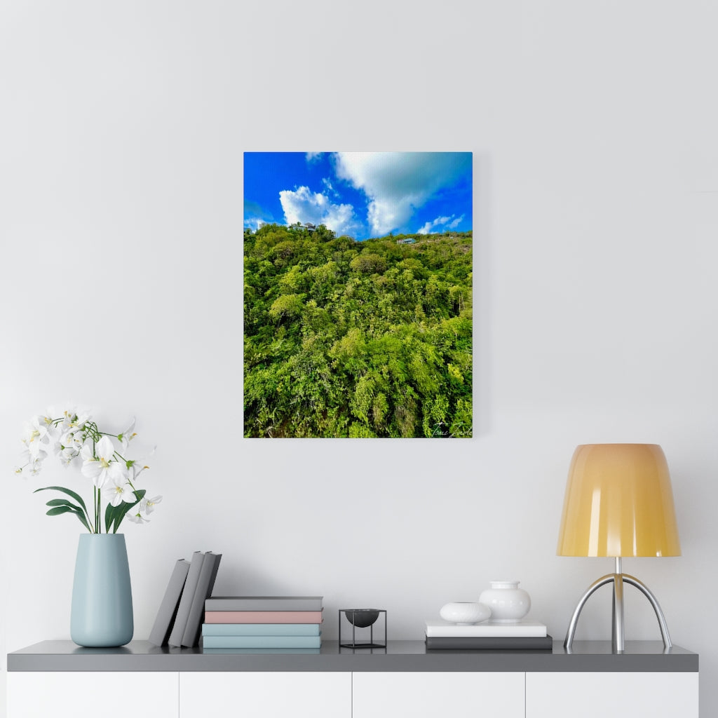 Nature At Its Layers-Canvas Gallery Wraps - TomiJadePhotos