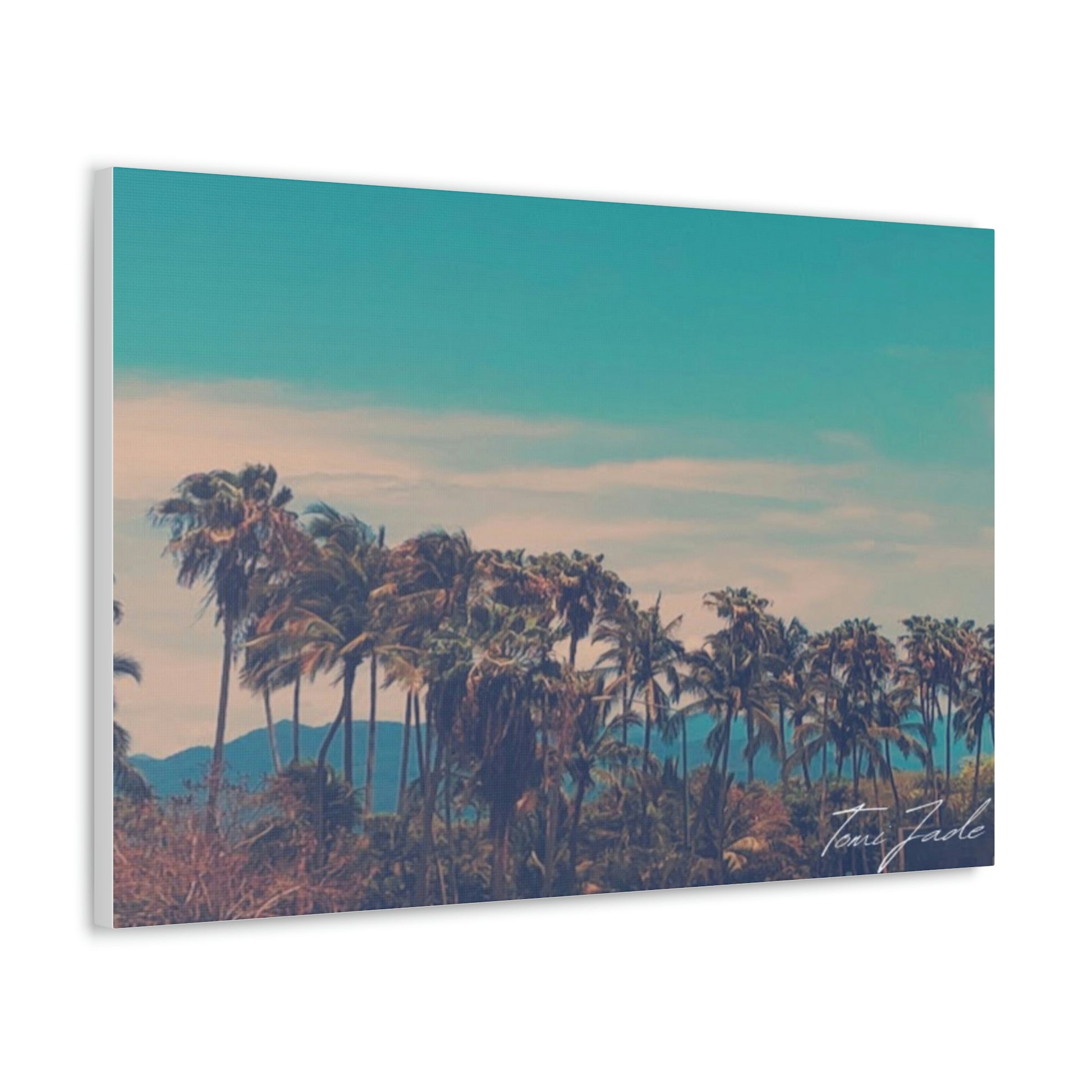 Hiding Mountains - Canvas Gallery Wraps - TomiJadePhotos