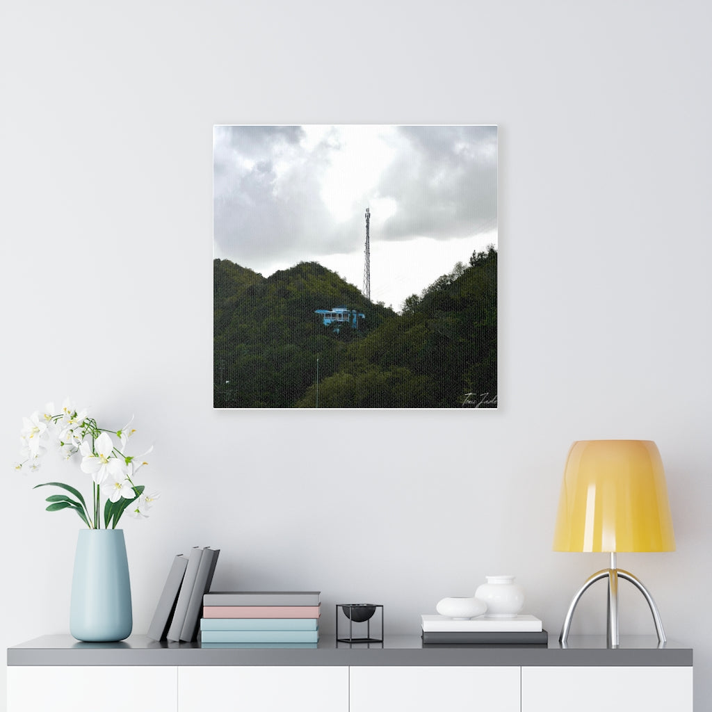 Stand Out In The Mountains-Canvas Gallery Wraps - TomiJadePhotos