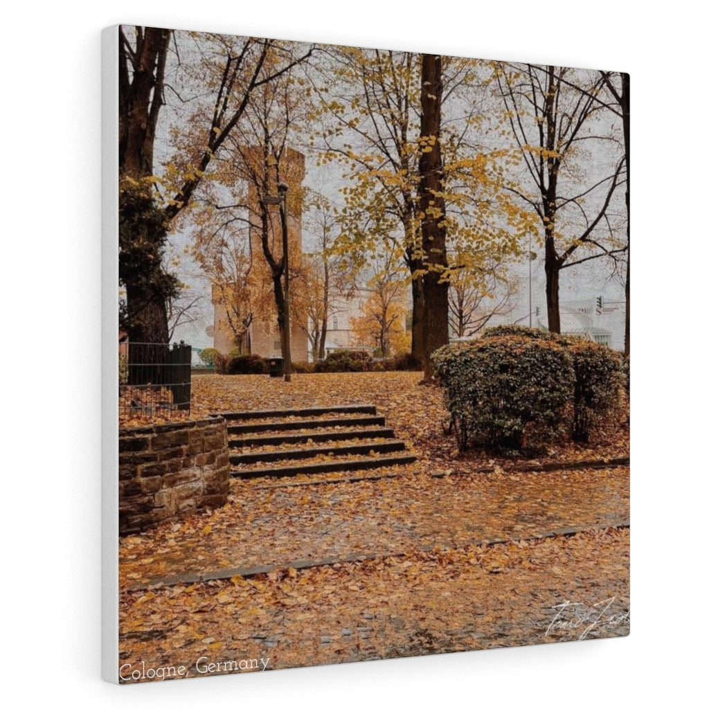 Fall in Germany-Canvas Gallery Wraps - TomiJadePhotos