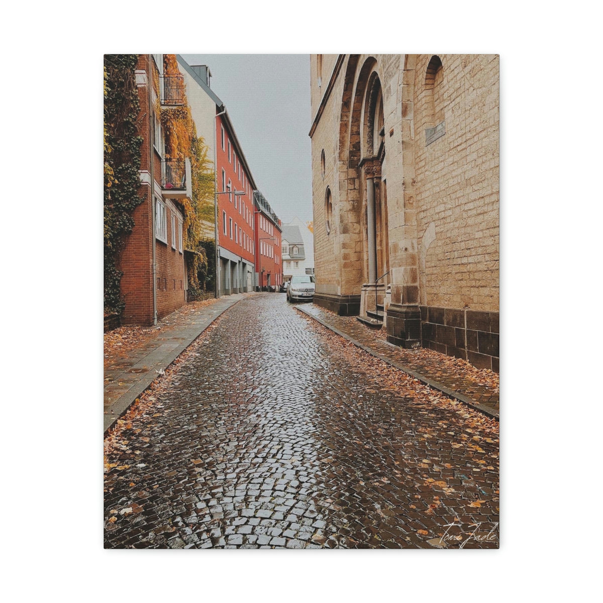 Diverse Buildings of Germany - Canvas Gallery Wraps - TomiJadePhotos