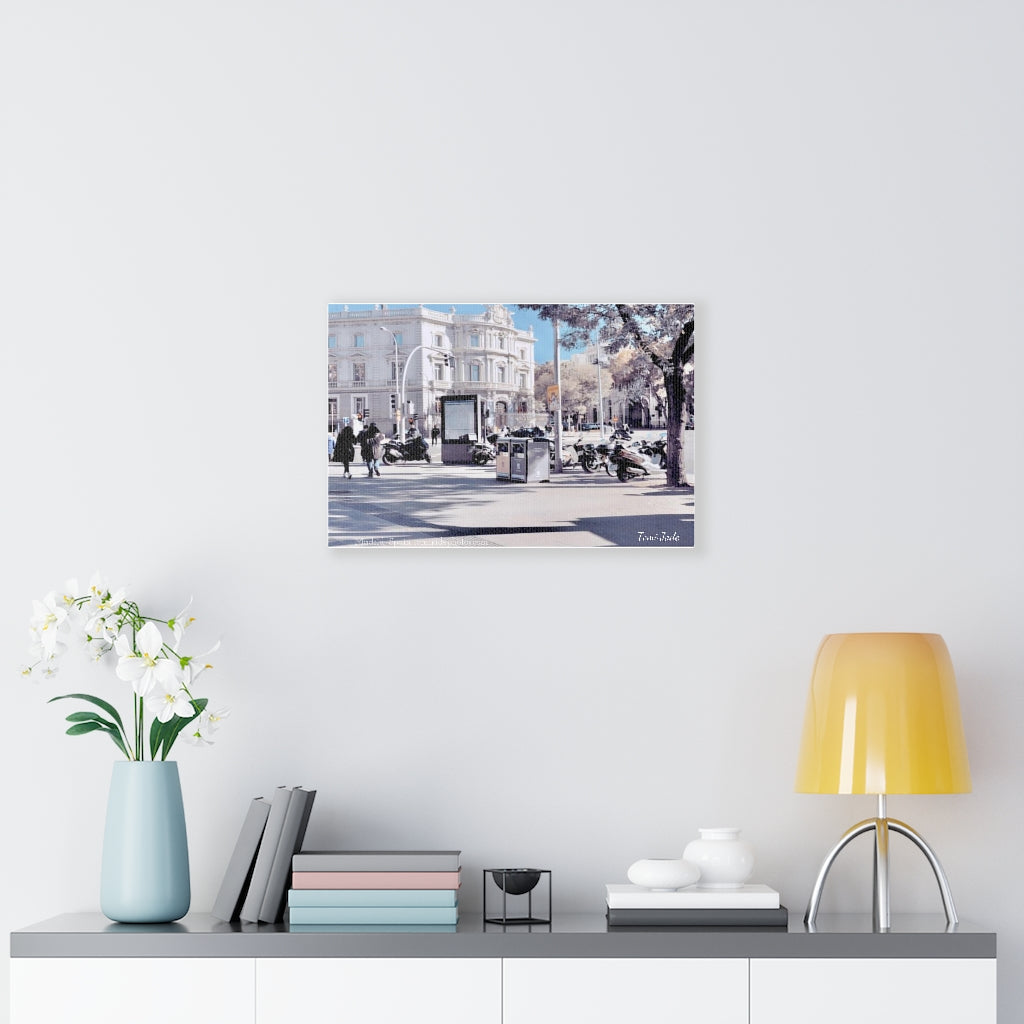 Sunny Winters - Canvas Gallery Wraps - TomiJadePhotos