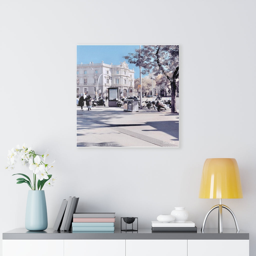 Sunny Winters - Canvas Gallery Wraps - TomiJadePhotos