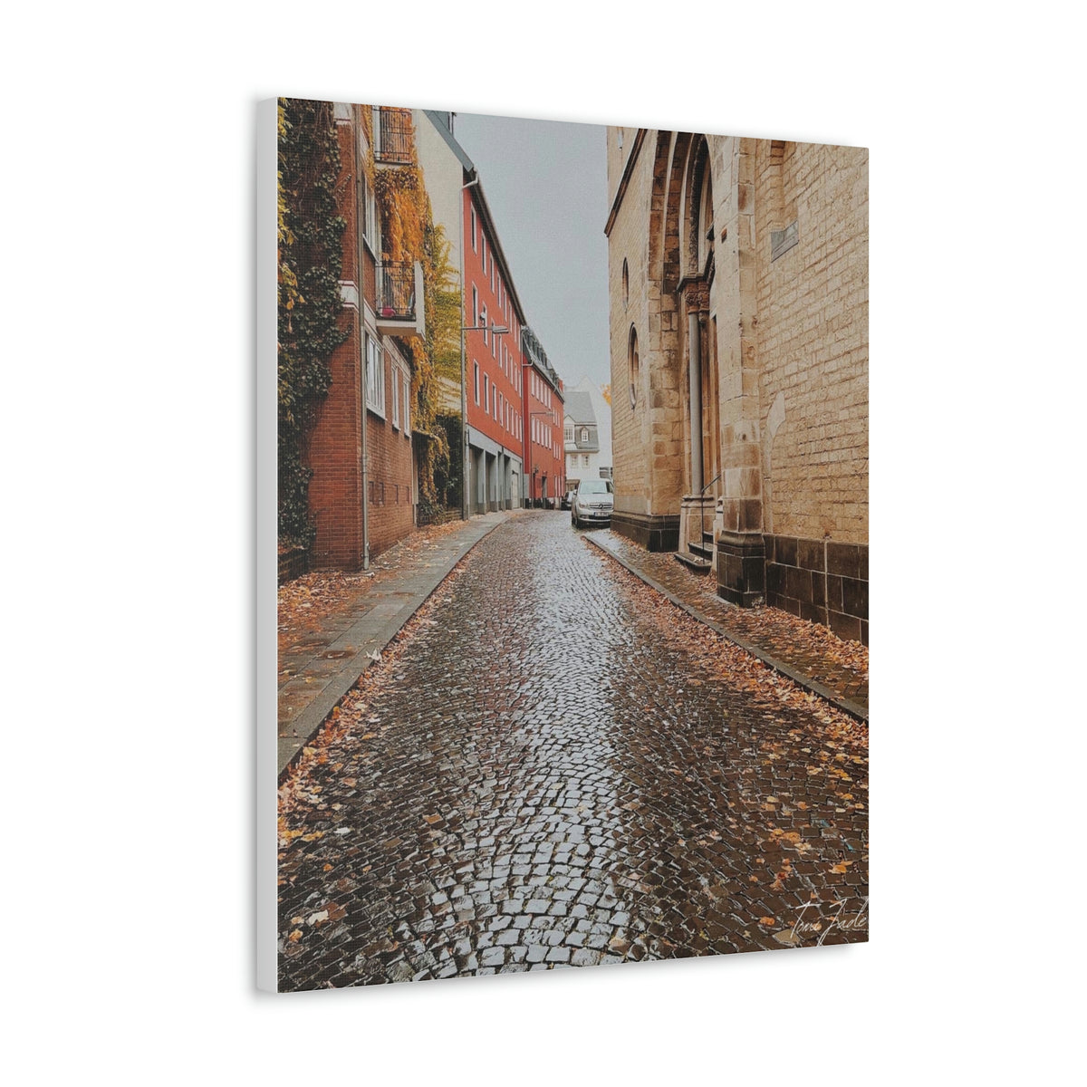 Diverse Buildings of Germany - Canvas Gallery Wraps - TomiJadePhotos