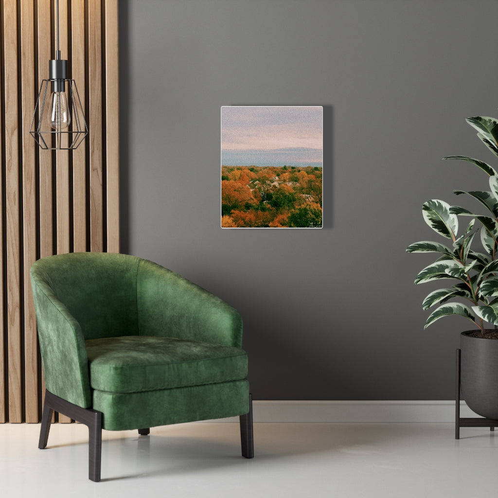 Homes In the Maryland Trees-Canvas Gallery Wraps - TomiJadePhotos