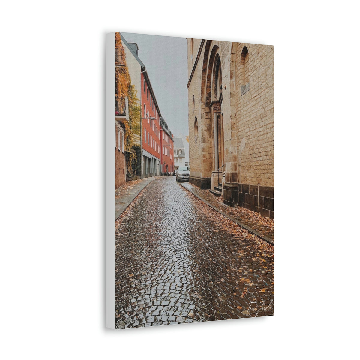 Diverse Buildings of Germany - Canvas Gallery Wraps - TomiJadePhotos