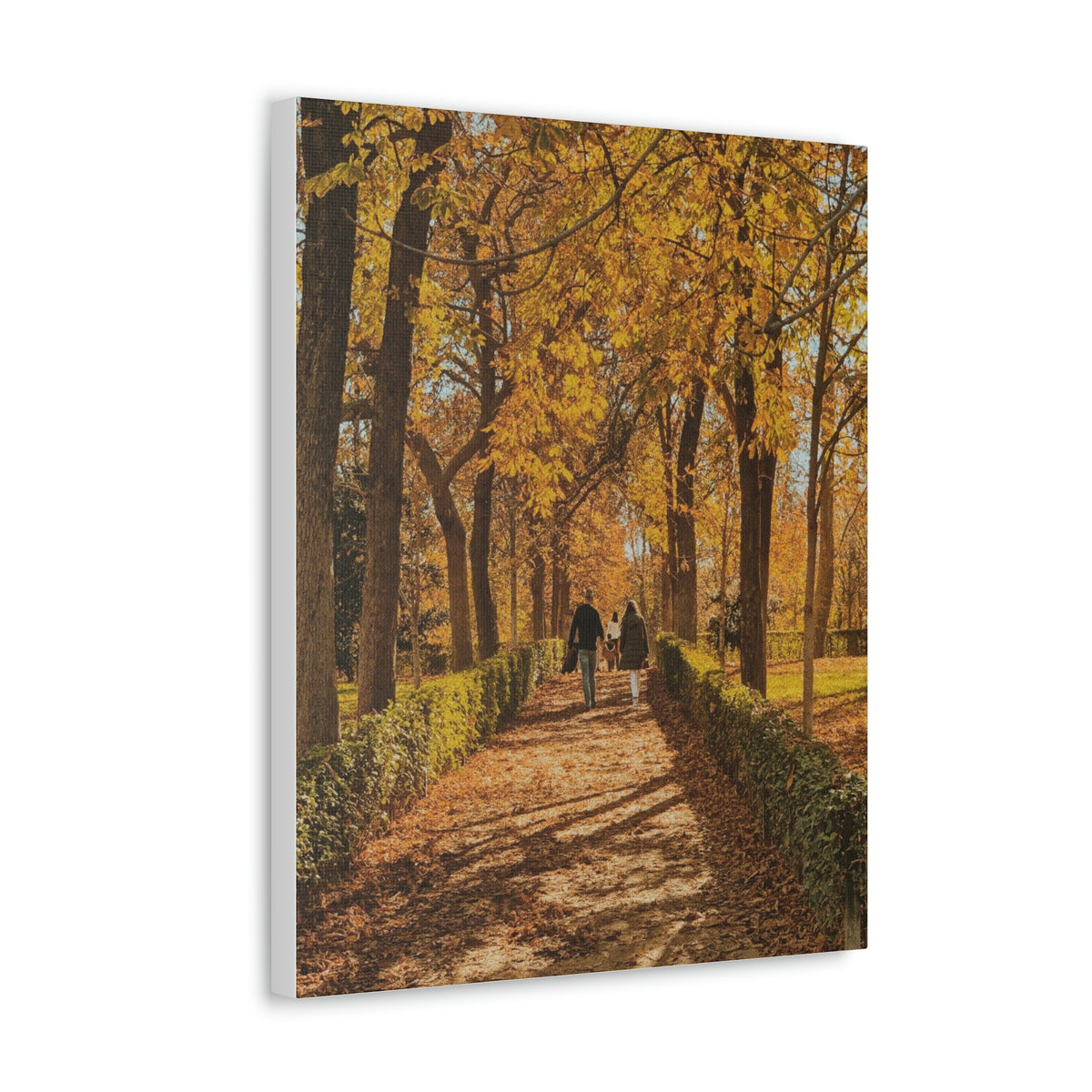 Autumn in Spain  - Canvas Gallery Wraps - TomiJadePhotos