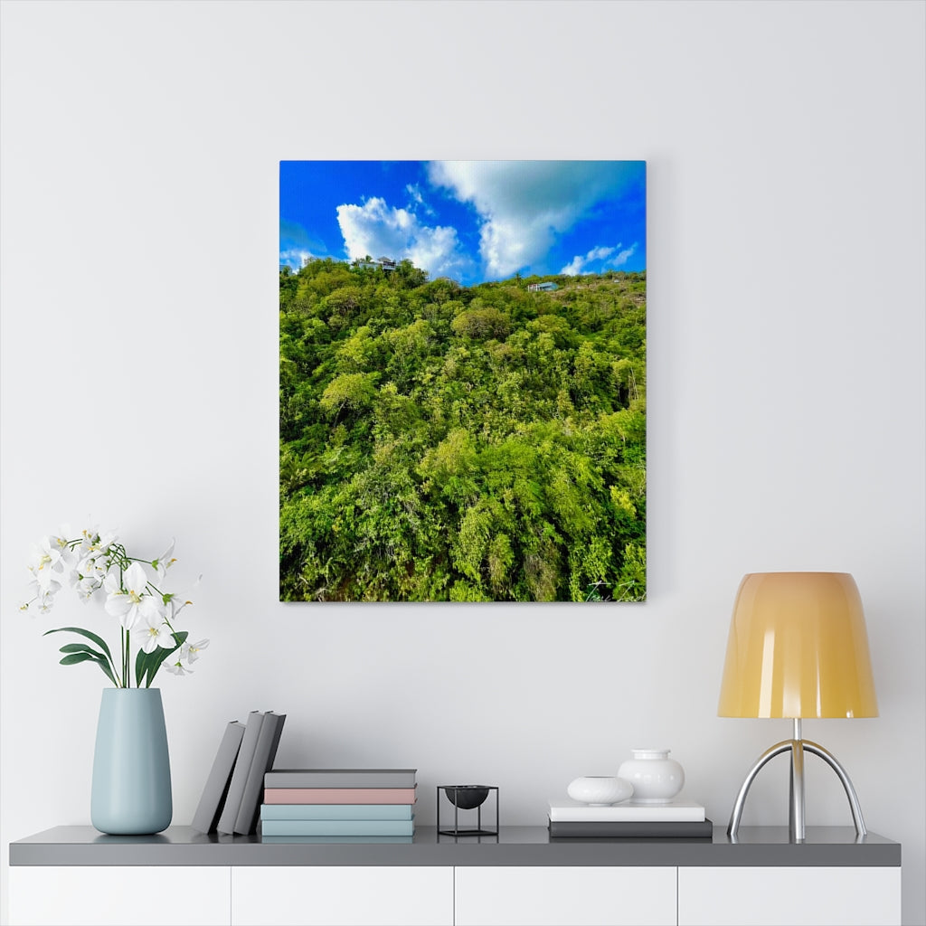 Nature At Its Layers-Canvas Gallery Wraps - TomiJadePhotos