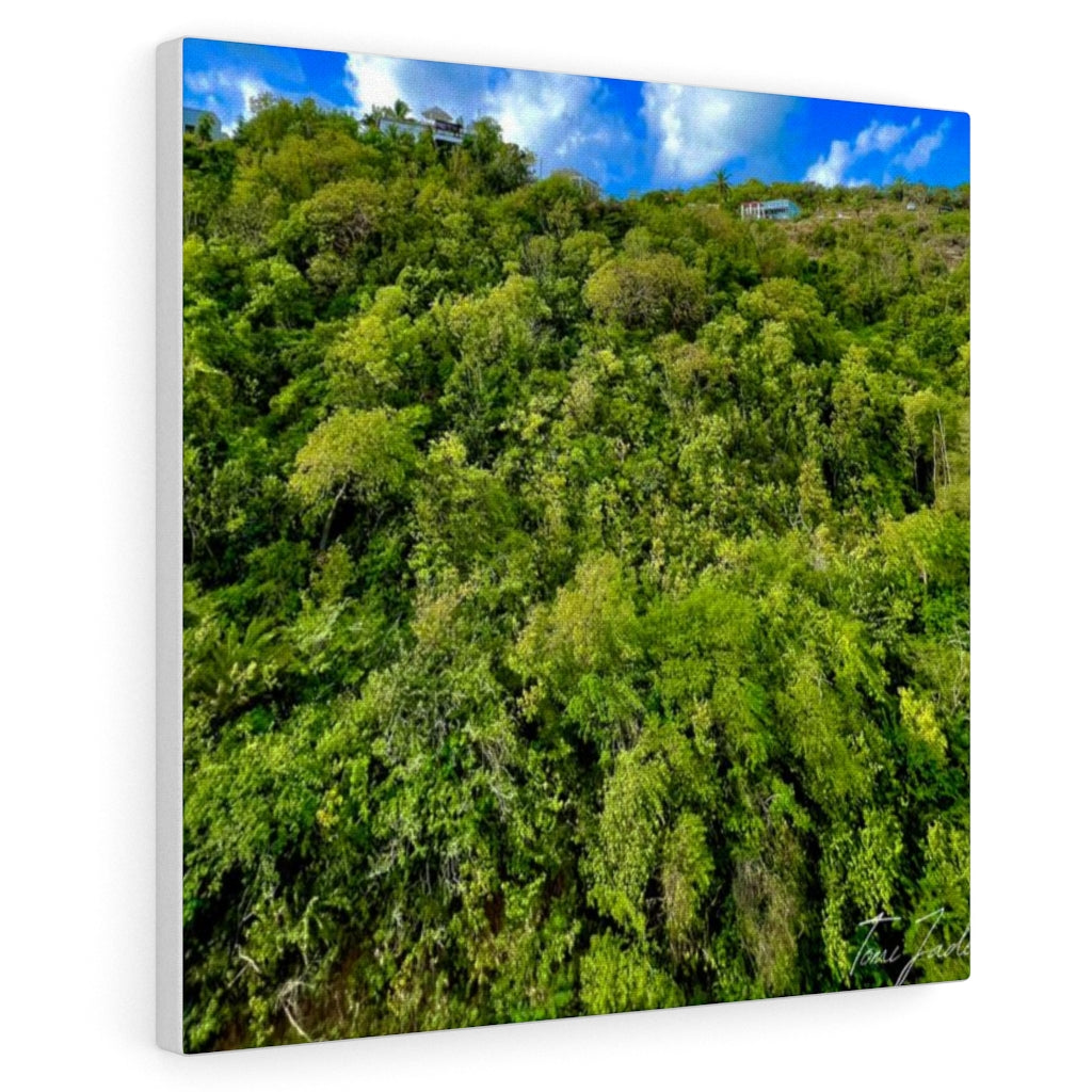 Nature At Its Layers-Canvas Gallery Wraps - TomiJadePhotos