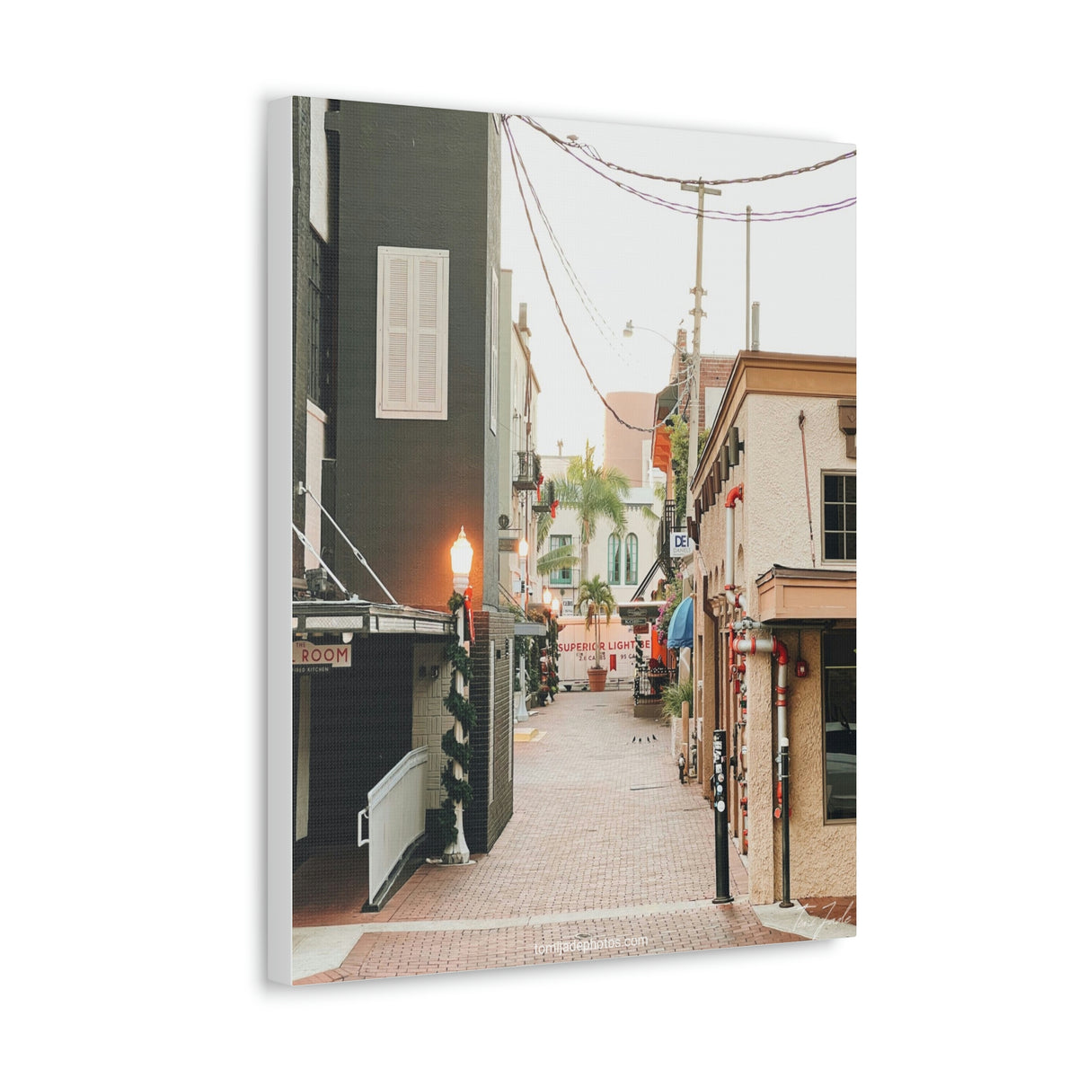 Sunshine State's Christmas - Canvas Gallery Wraps - TomiJadePhotos