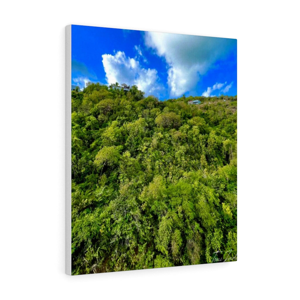 Nature At Its Layers-Canvas Gallery Wraps - TomiJadePhotos
