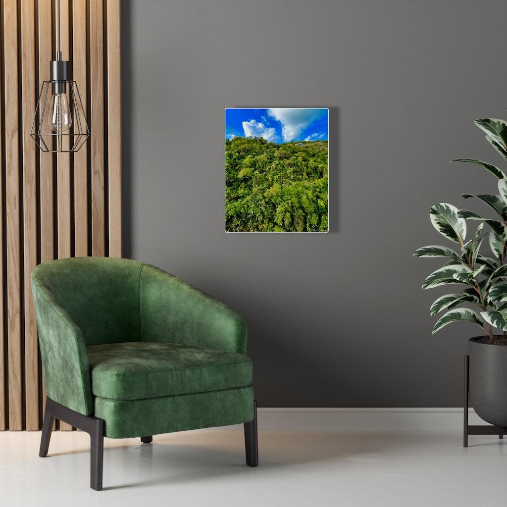 Nature At Its Layers-Canvas Gallery Wraps - TomiJadePhotos