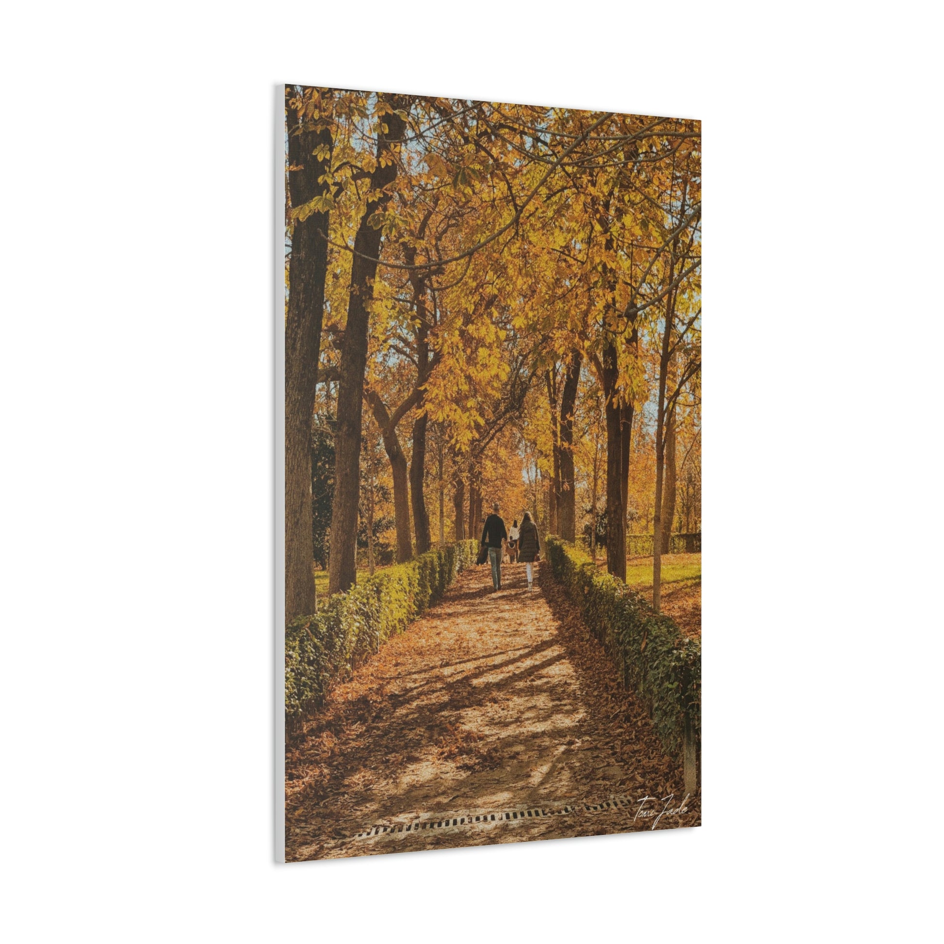 Our fall wall art in Spain is very colorful and vibrant. A couple is walking on the park trail with other families in front, the bright yellow leaves surrounding them. This canvas is a size 32 x 48.