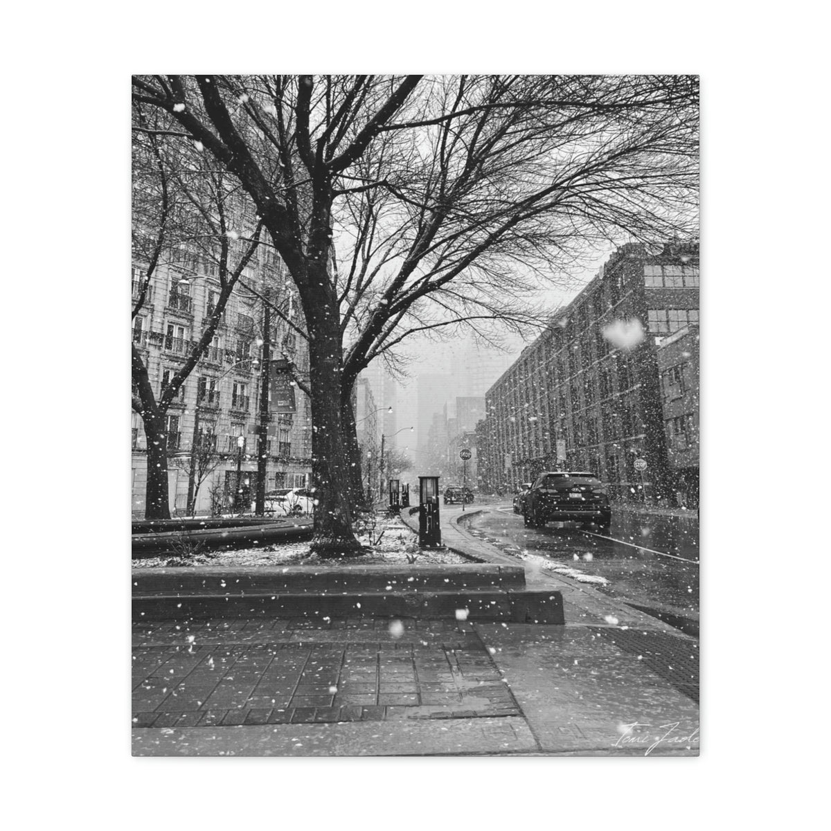 Snowfall Downtown - Canvas Gallery Wraps - TomiJadePhotos