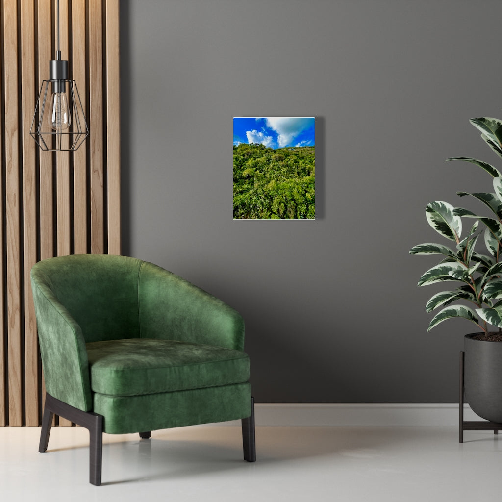 Nature At Its Layers-Canvas Gallery Wraps - TomiJadePhotos