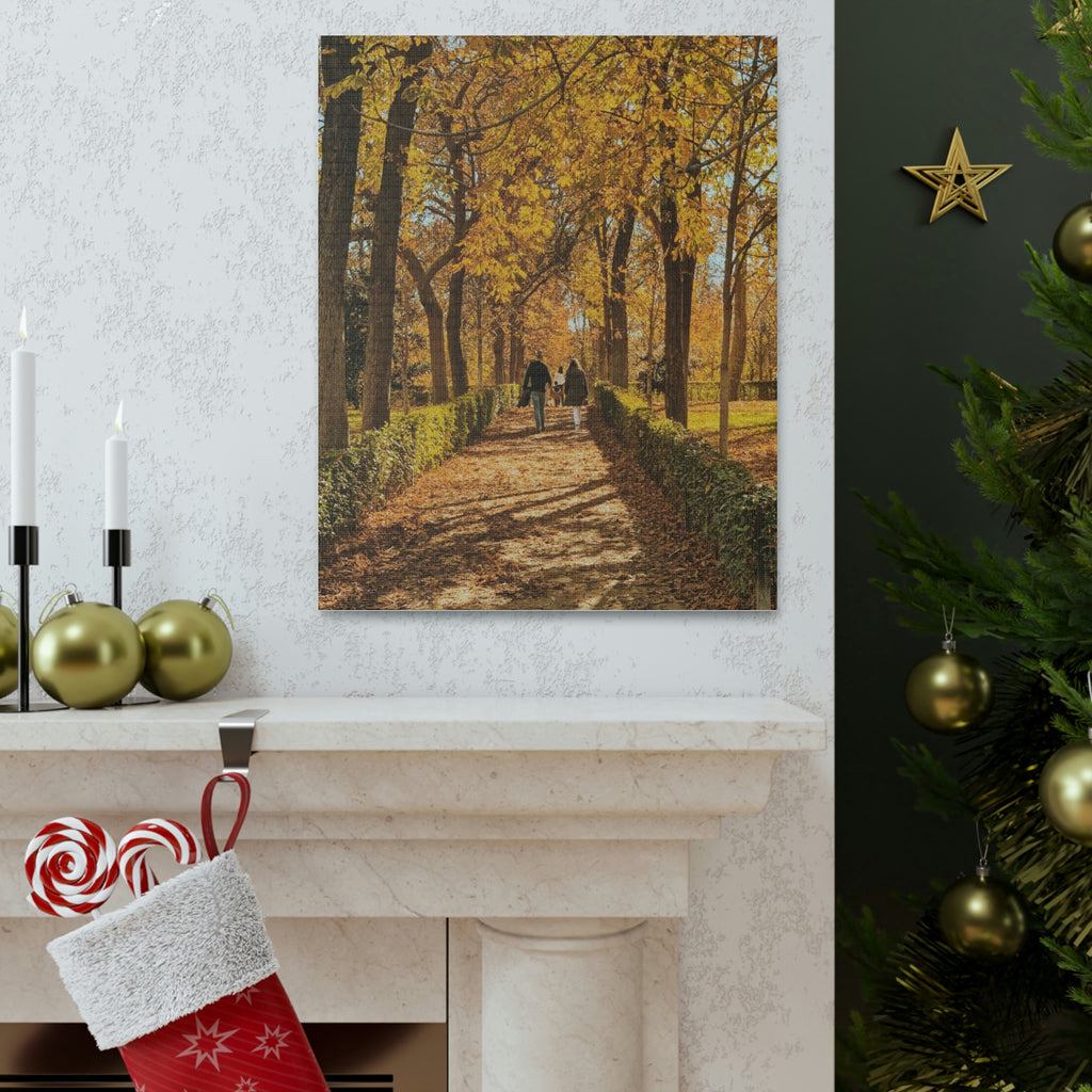 Autumn in Spain  - Canvas Gallery Wraps - TomiJadePhotos