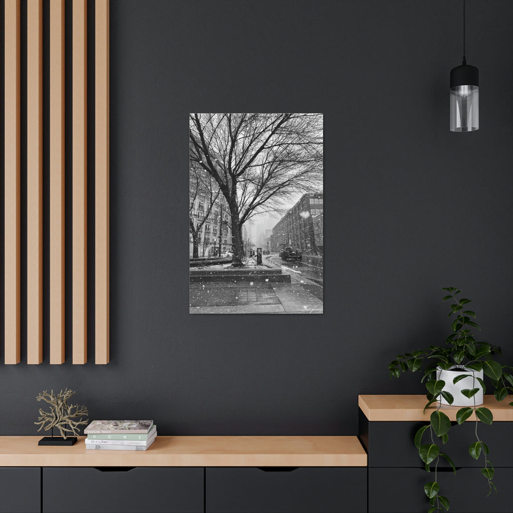 Snowfall Downtown - Canvas Gallery Wraps - TomiJadePhotos