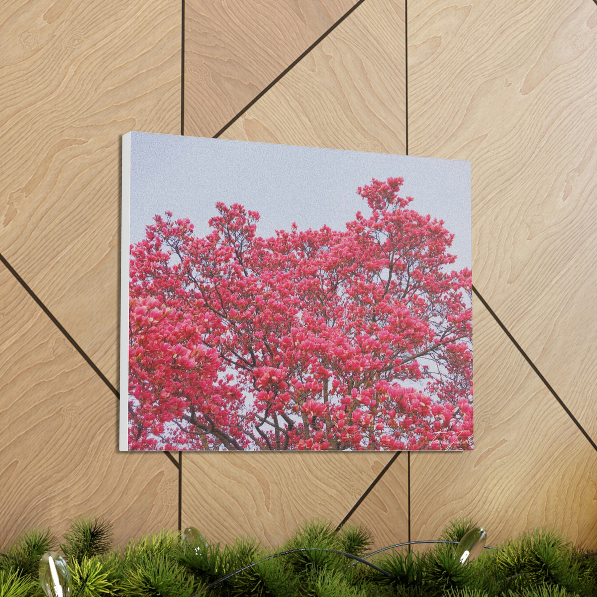 Blooming Pink - Canvas Gallery Wraps - TomiJadePhotos