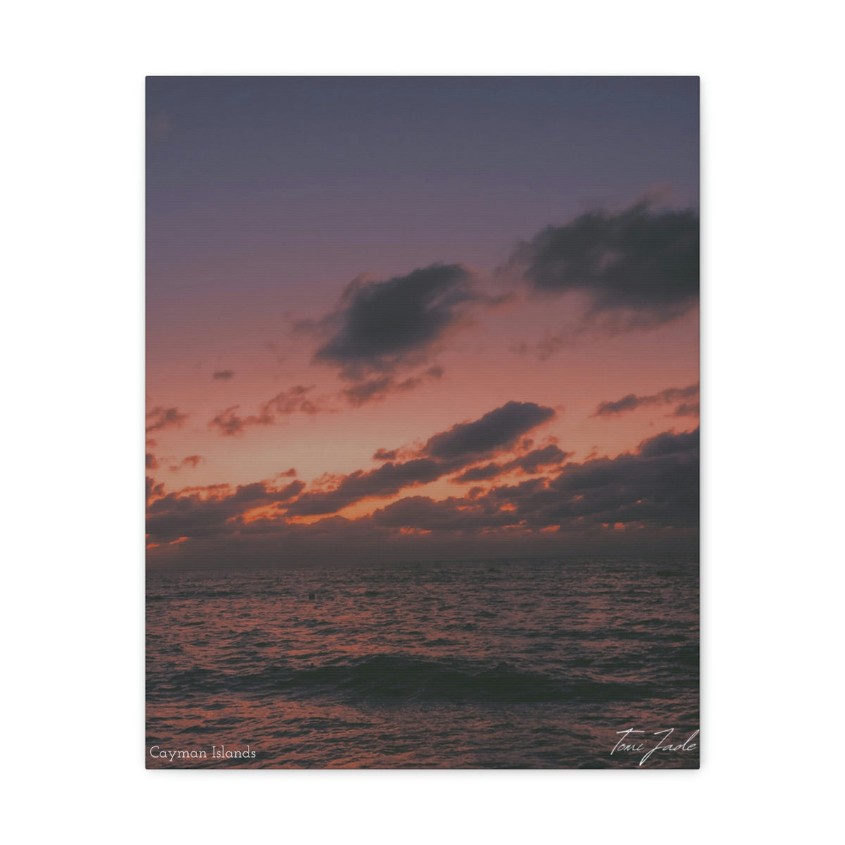 Night At The Beach - Canvas Gallery Wraps - TomiJadePhotos