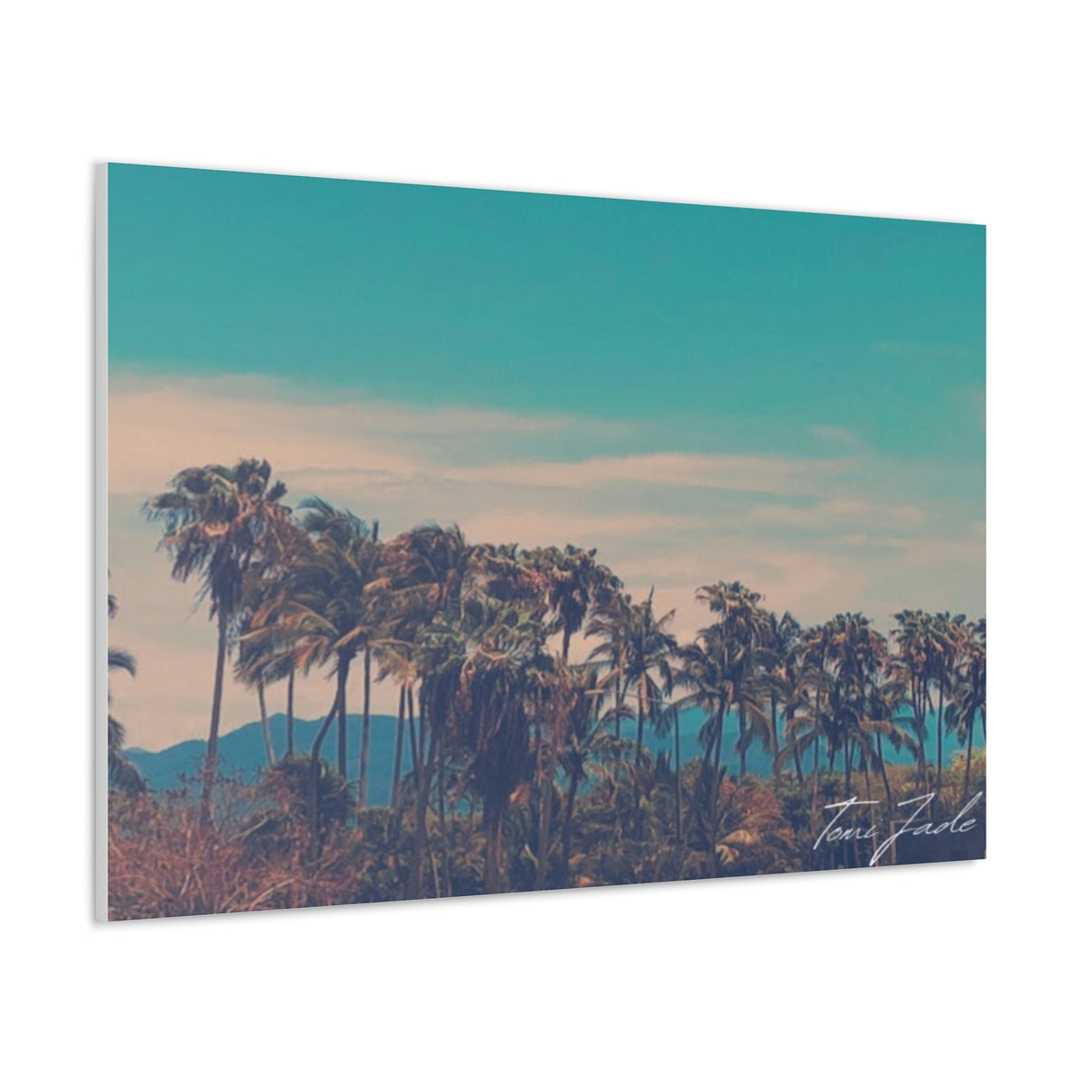 Hiding Mountains - Canvas Gallery Wraps - TomiJadePhotos