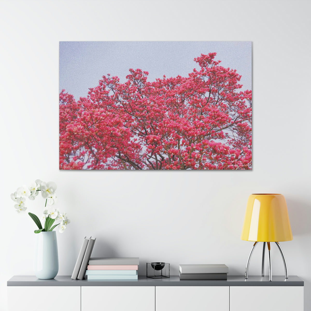 Blooming Pink - Canvas Gallery Wraps - TomiJadePhotos