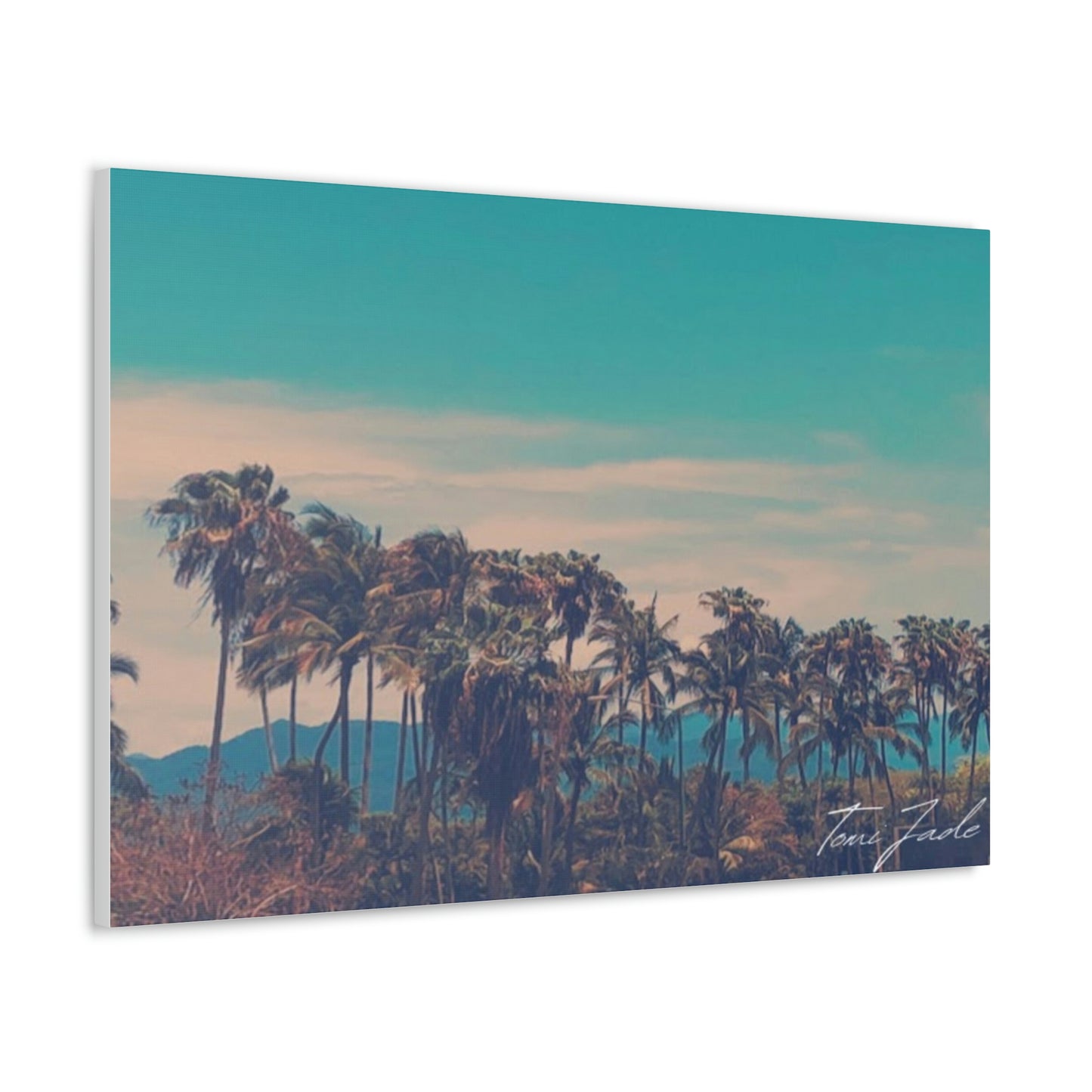 Hiding Mountains - Canvas Gallery Wraps - TomiJadePhotos