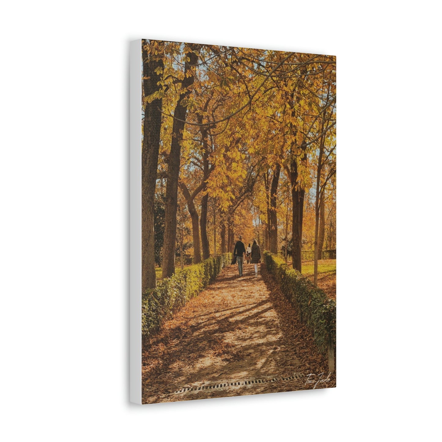 Our fall wall art in Spain is very colorful and vibrant. A couple is walking on the park trail with other families in front, the bright yellow leaves surrounding them. This canvas is a size 12 x 18. 