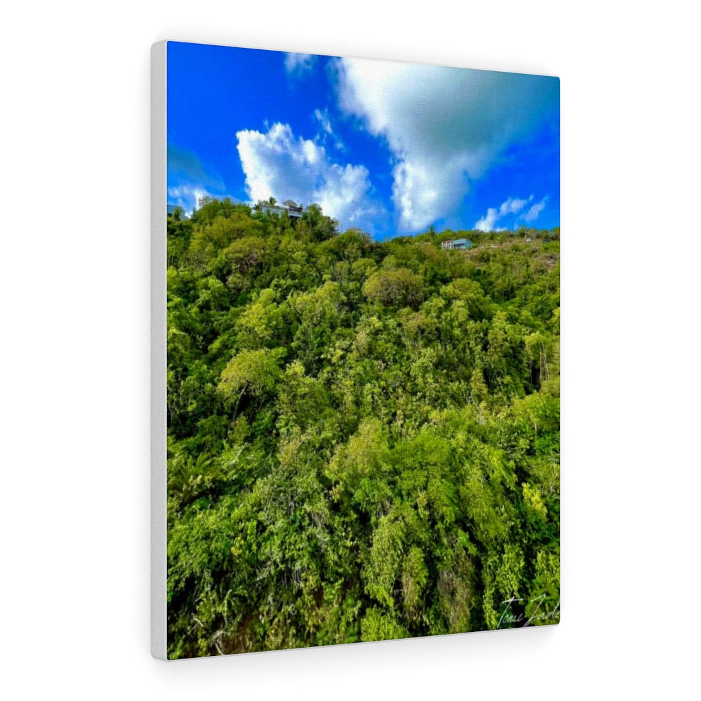 Nature At Its Layers-Canvas Gallery Wraps - TomiJadePhotos