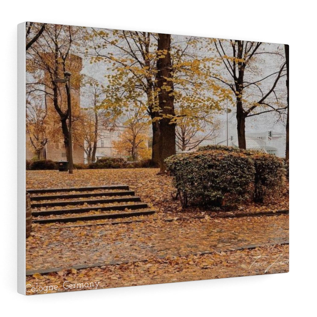 Fall in Germany-Canvas Gallery Wraps - TomiJadePhotos