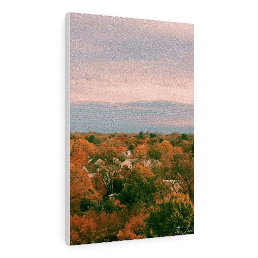 Homes In the Maryland Trees-Canvas Gallery Wraps - TomiJadePhotos