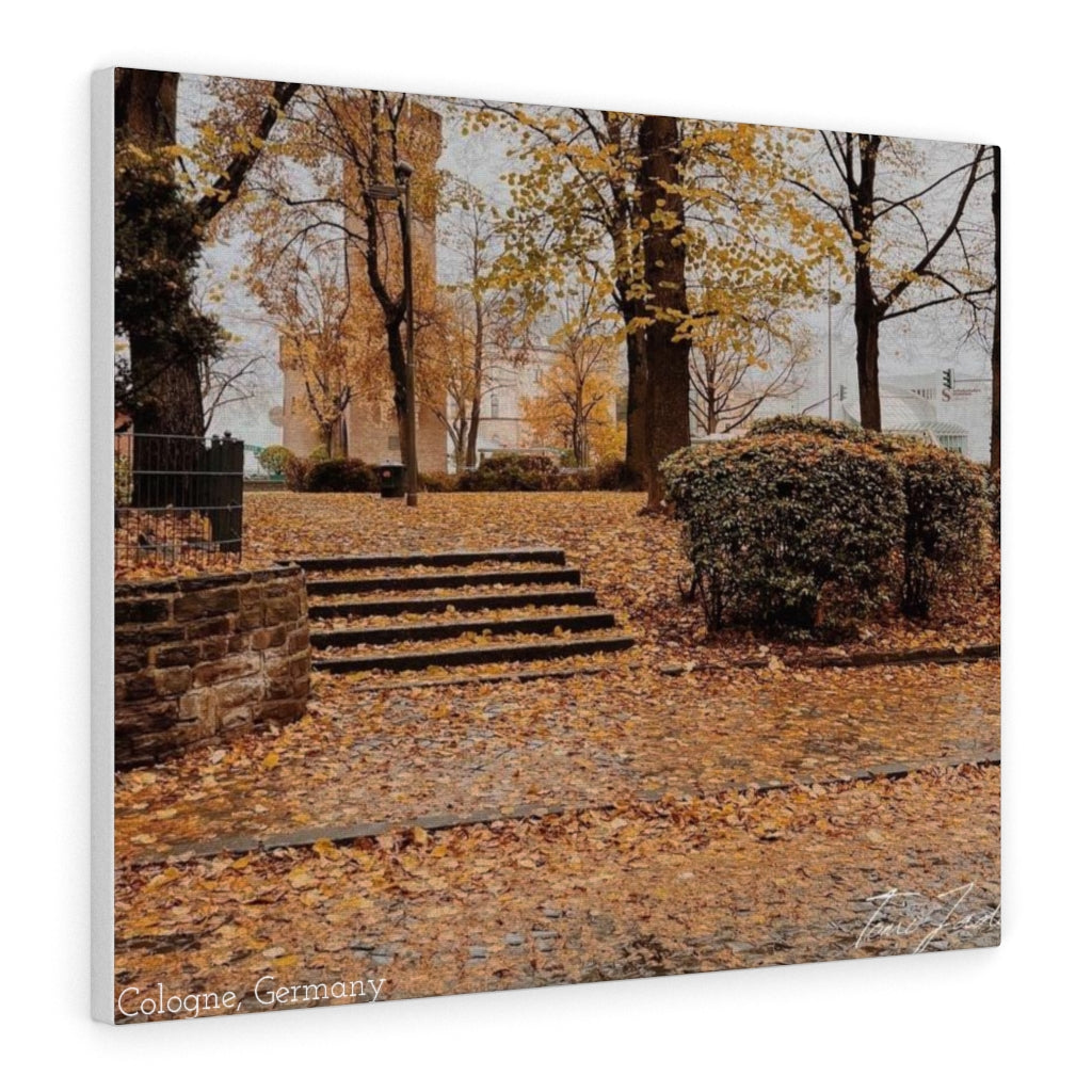 Fall in Germany-Canvas Gallery Wraps - TomiJadePhotos